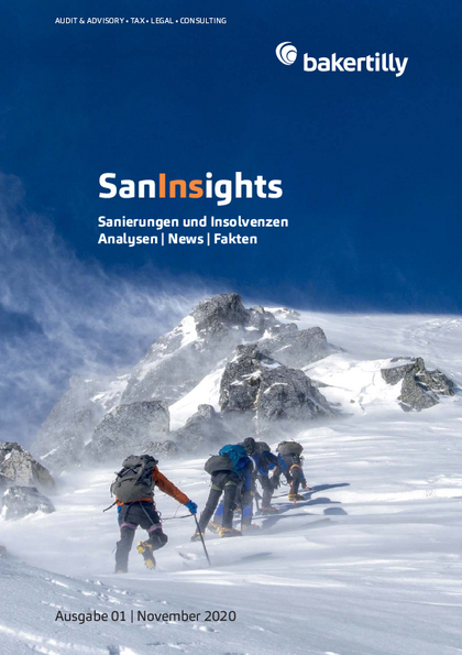 SanInsights-Ausgabe-2020-11.pdf, 2 MB